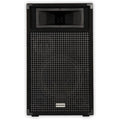 Passive 10" 3-Way Speaker C21036
