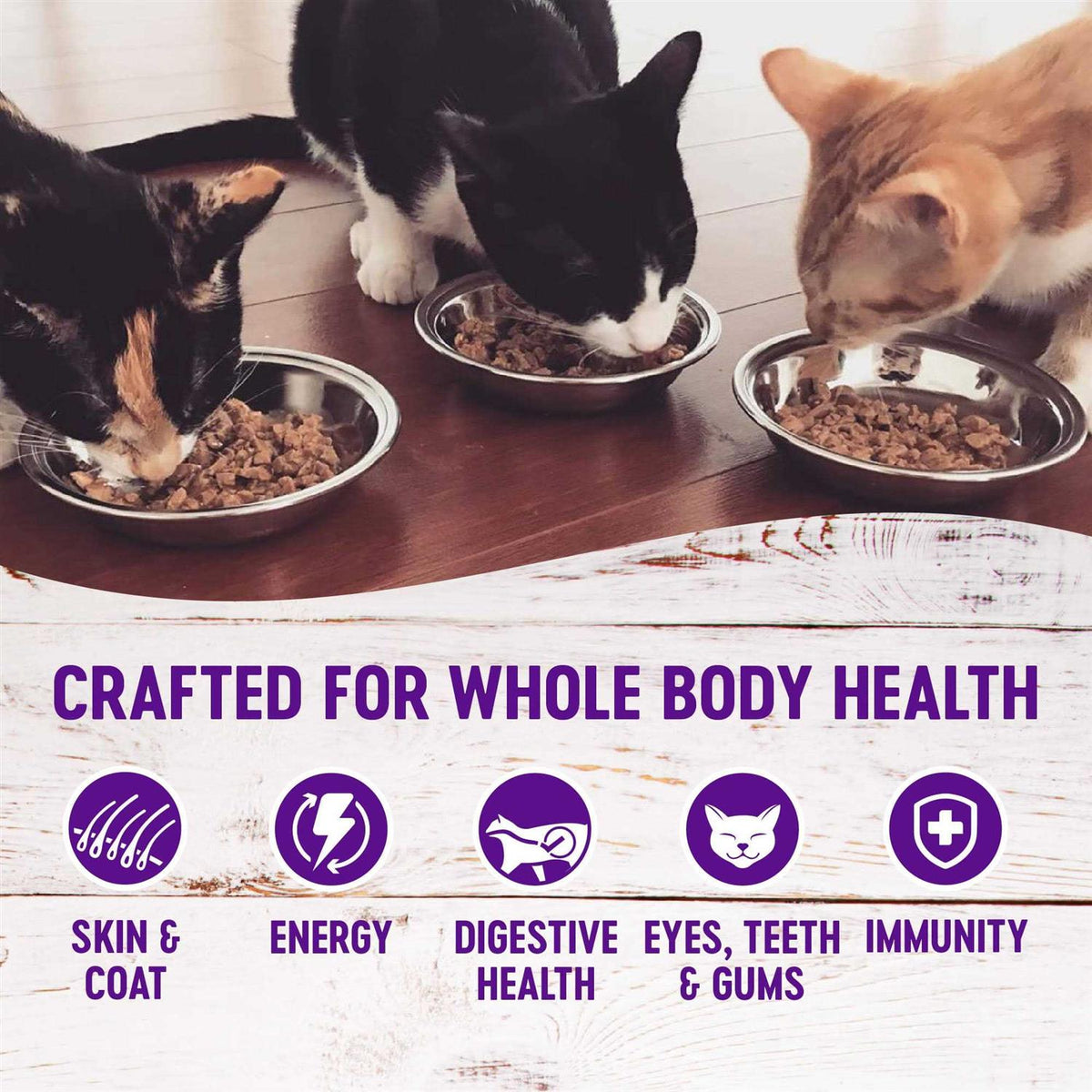 Chicken & Turkey Wet Adult Cat Food Variety Pack Z135