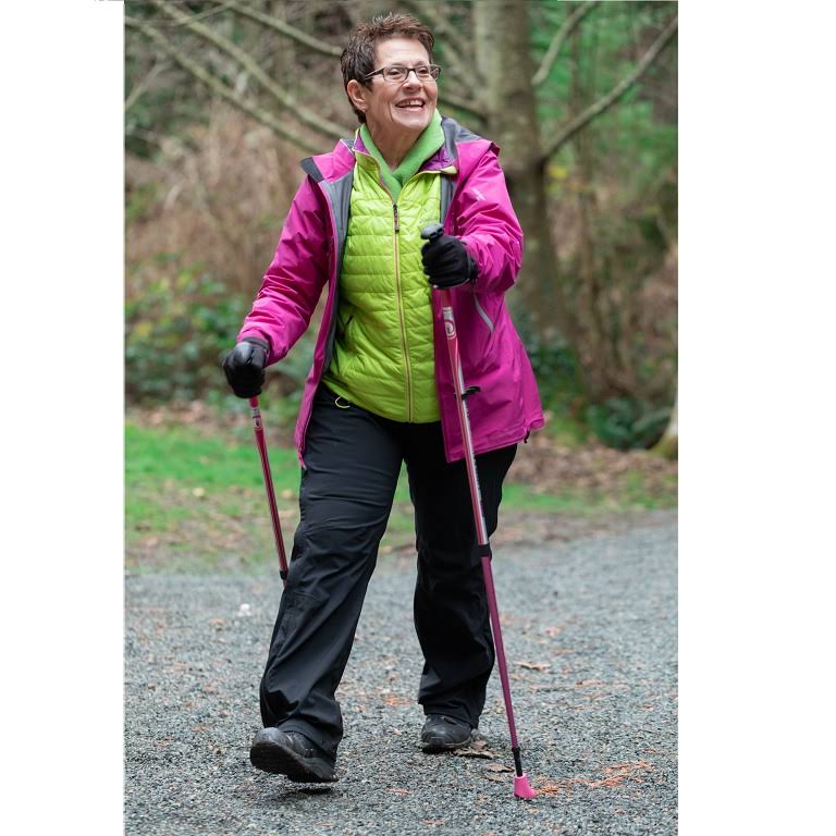Walking/Hiking/Trekking Poles J8723