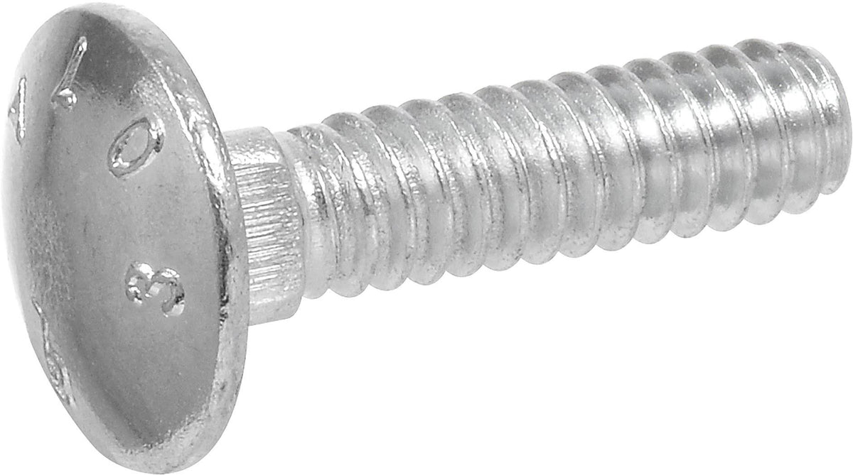 1/2-Inch x 14-Inch Carriage Bolt 25-Pack I7982