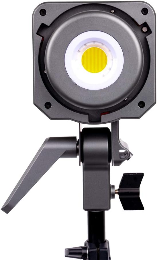 Bi-Color LED Video Light E2398