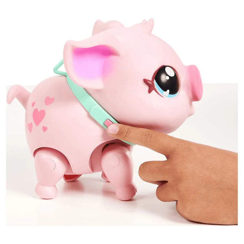My Pet Pig O3854