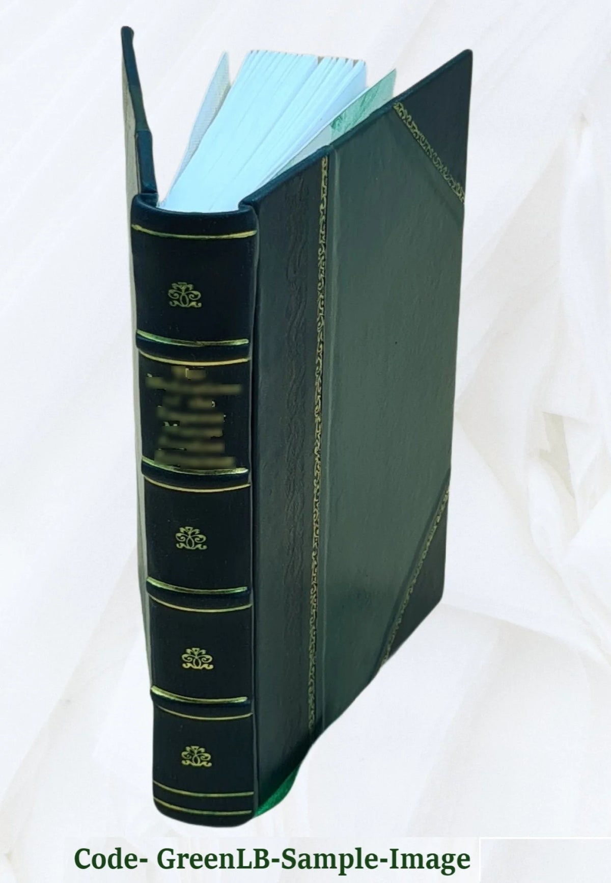 Leather Bound L17431