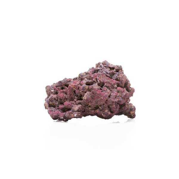 Life Rock E664