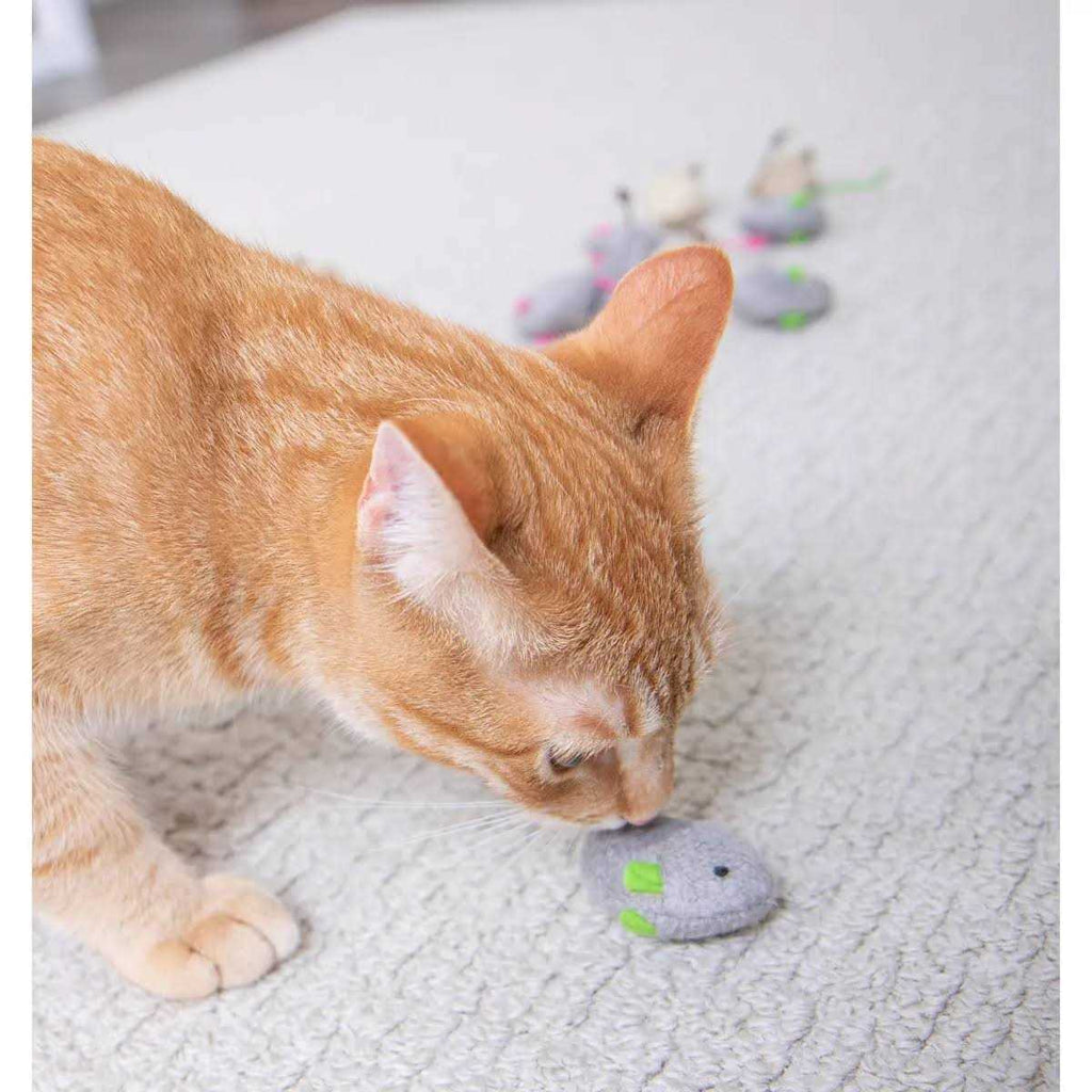 Catnip Toys L4428
