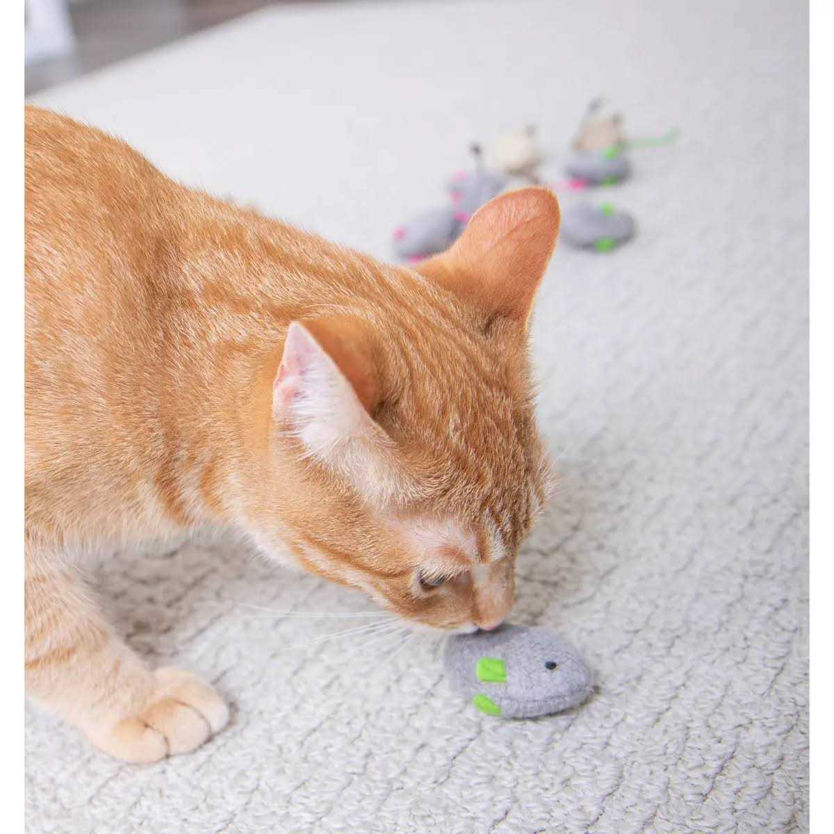 Catnip Toys L4428