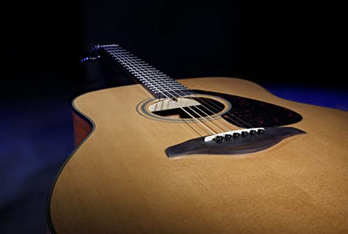 Natural Solid Top Acoustic Guitar V1709