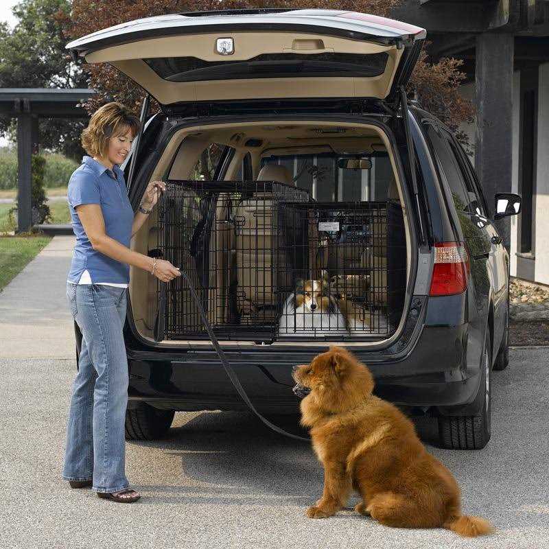 Double Door SUV Dog Crate A520866
