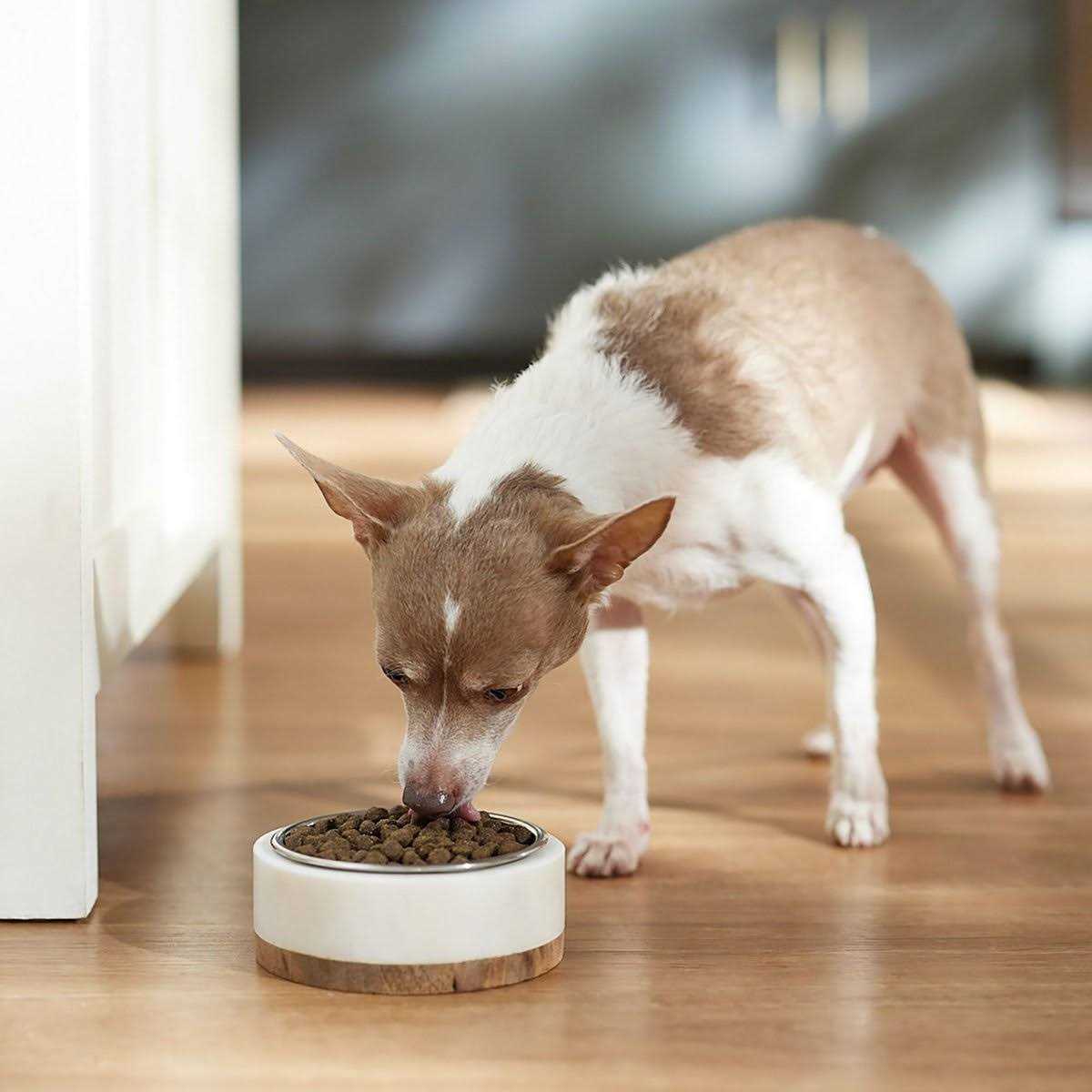 Hi-Pro Plus Formula Dry Dog Food X754
