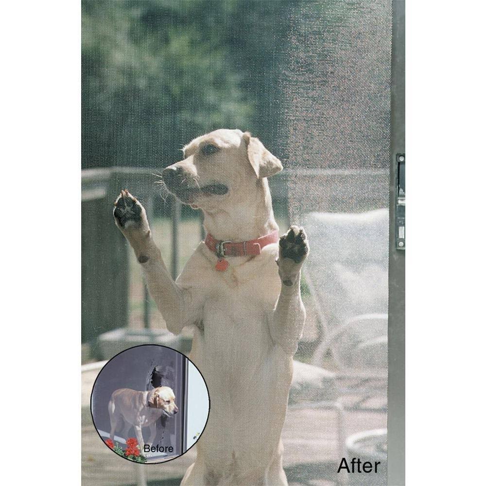 Gray Petscreen O769863