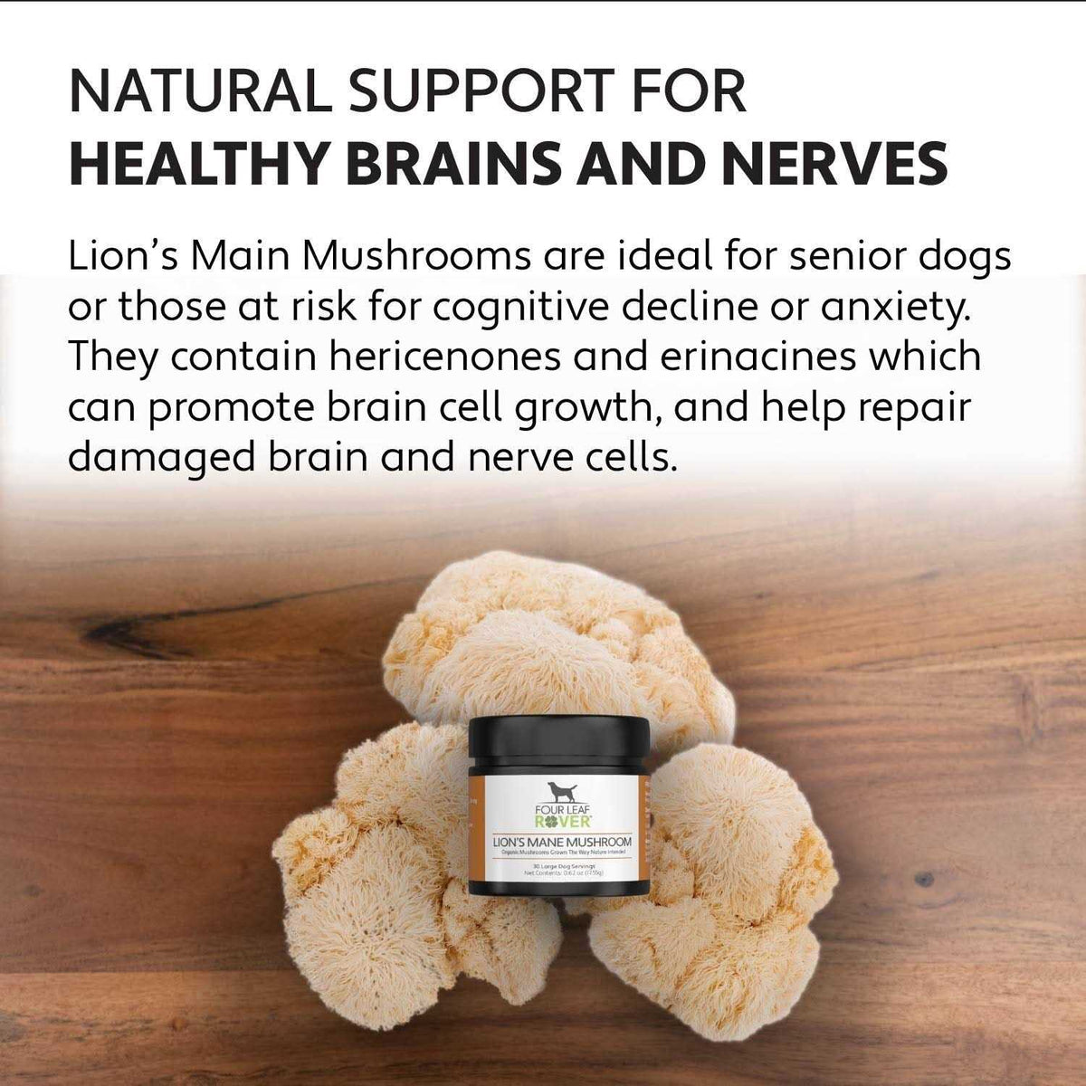 Organic Mushroom Extract for Dogs T480152
