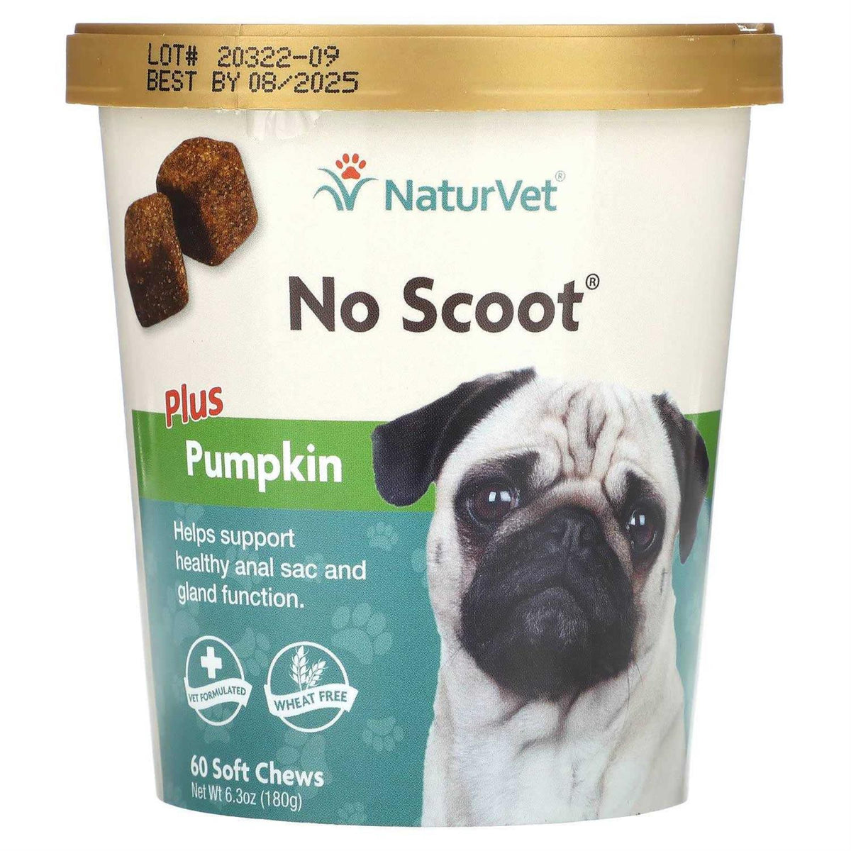 Pumpkin for Dogs G282