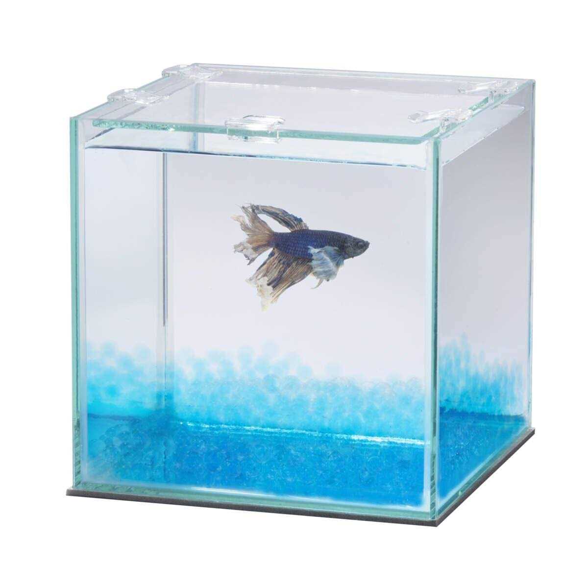 Betta Beads F638