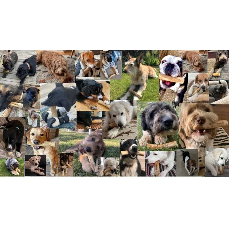 All-Natural Coffee Wood Dog Chew Toys V915399