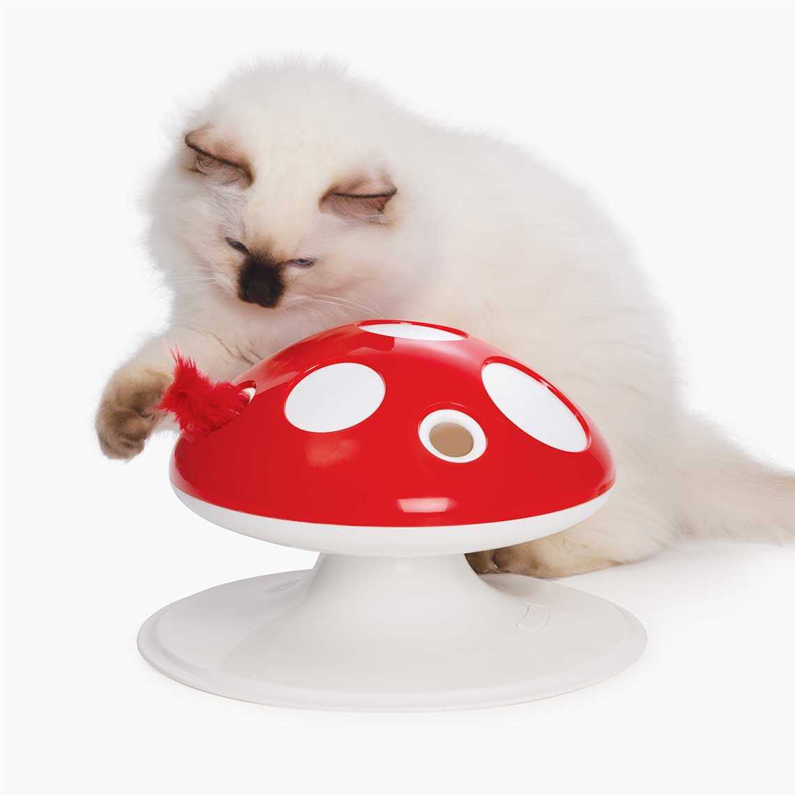 Interactive Cat Toy P823594