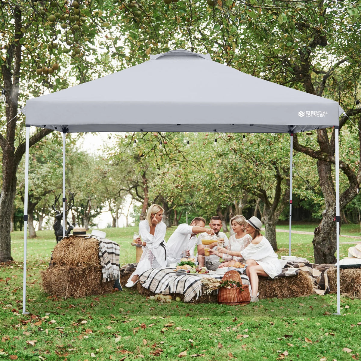Grey 10x10ft Pop Up Outdoor Canopy Tent with Wheeled Carrying Bag X380