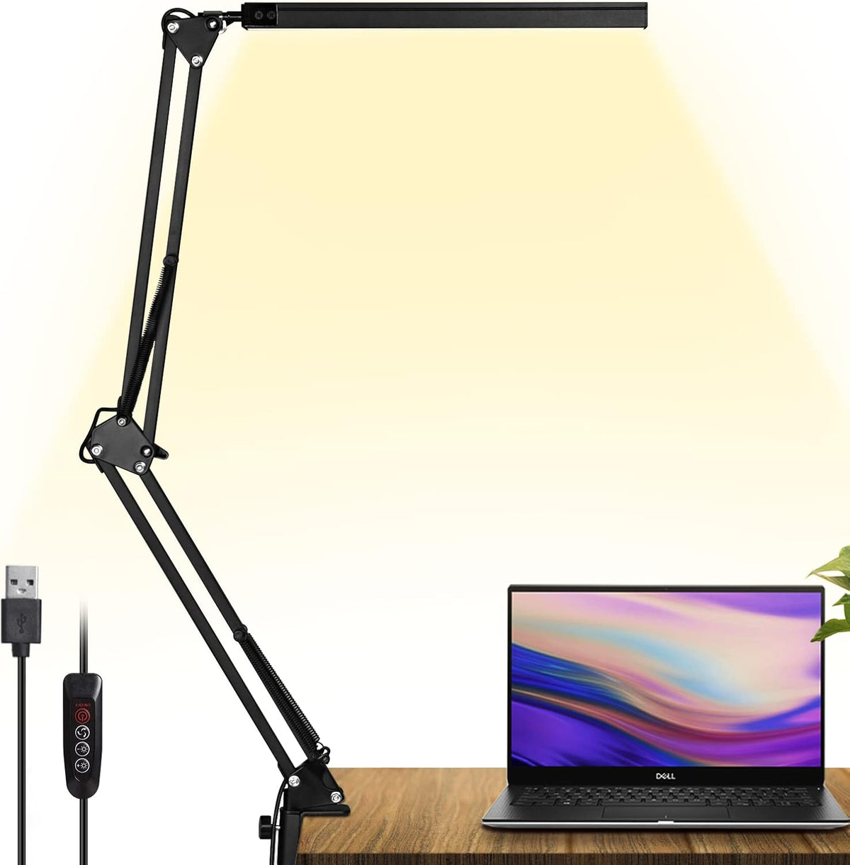 LED Desk Lamp with Clamp and Round Base H671