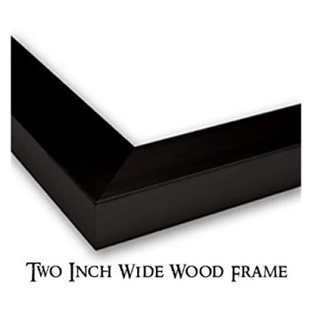 Black Modern Framed Museum Art Print T63313