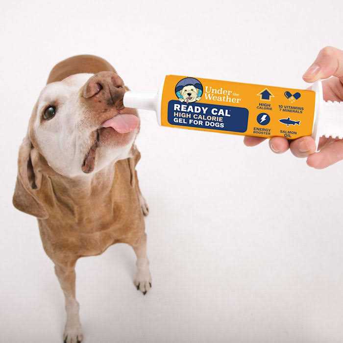 High-Calorie Supplement for Dogs V685