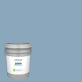 Interior Paint 5-Gallon B14036