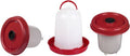 Red Chicken Drinker 10 L. with Plung C934