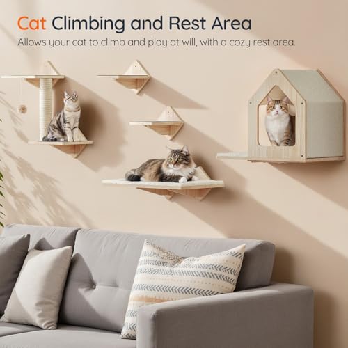 Natural Wood Cat Wall Shelves Set of 5 with House Steps Scratching Post Perch M940293