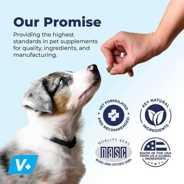 Vet Strength Chew D554414