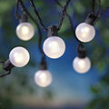 20-Count LED Frosted Globe Outdoor String Lights W266