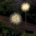 Set of 2 LED Solar Garden Stakes Z61326