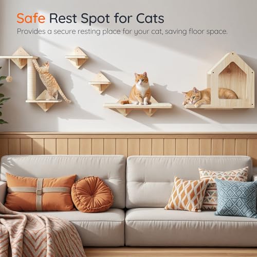 Natural Wood Cat Wall Shelves Set of 5 with House Steps Scratching Post Perch M940293