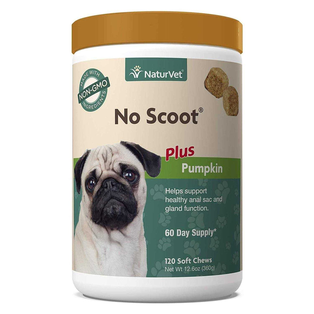 Pumpkin for Dogs G282