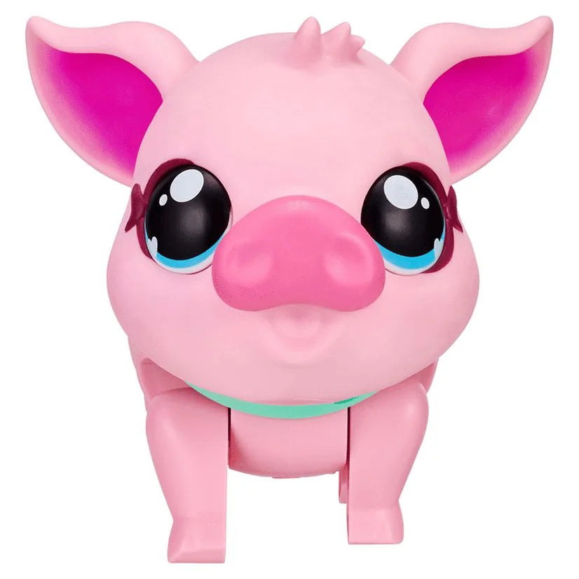 My Pet Pig O3854