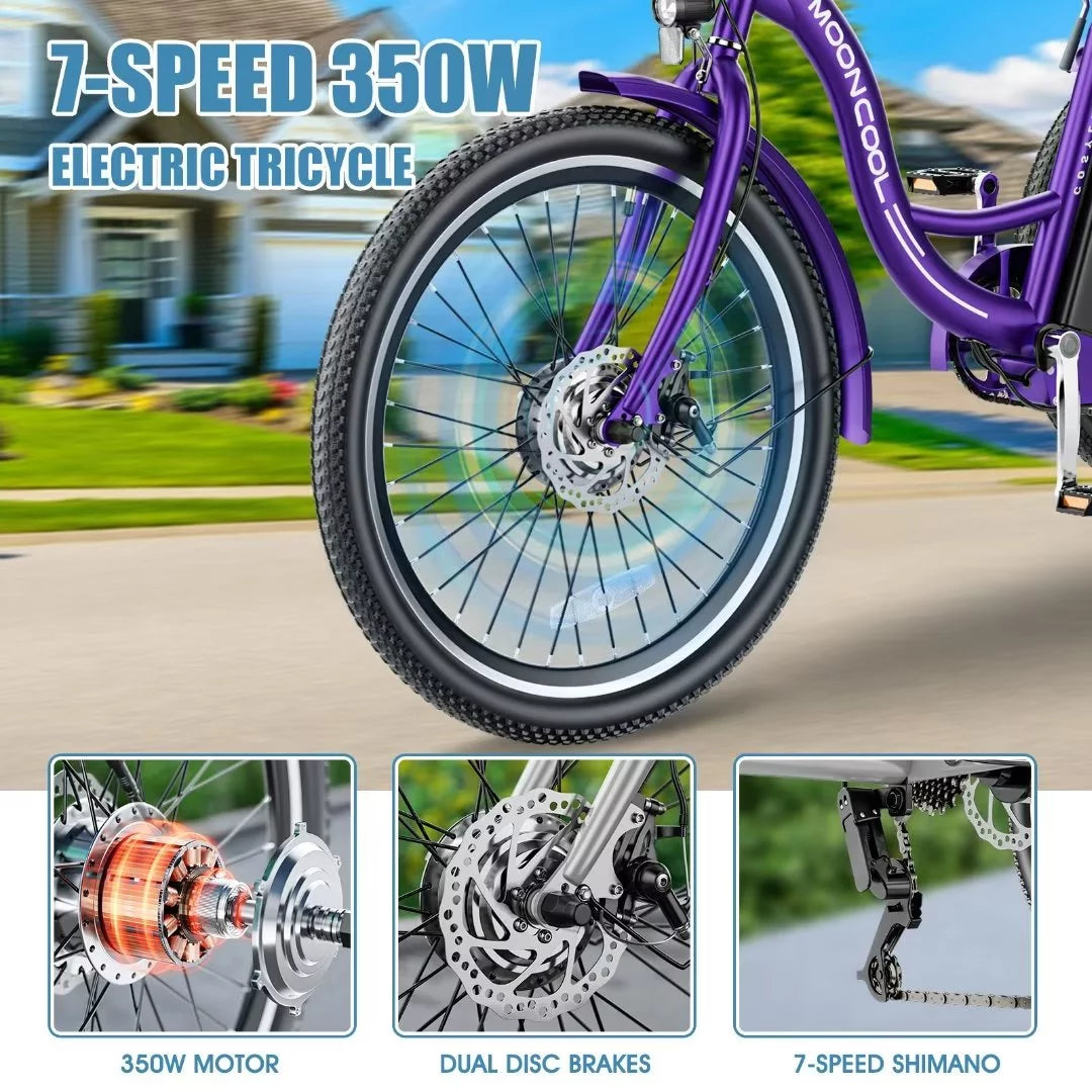 3 Wheel 500W Electric Trike C160511
