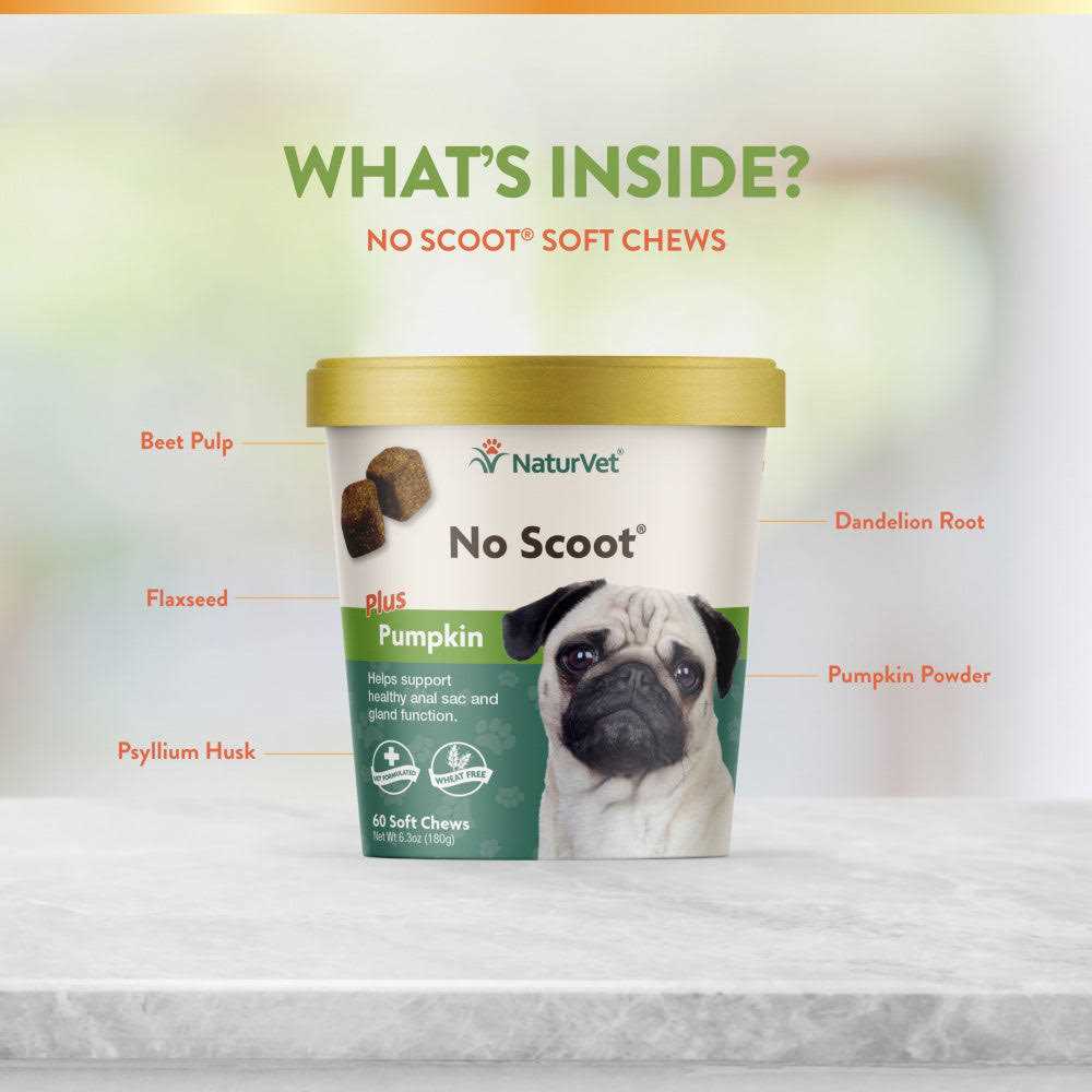Pumpkin for Dogs G282