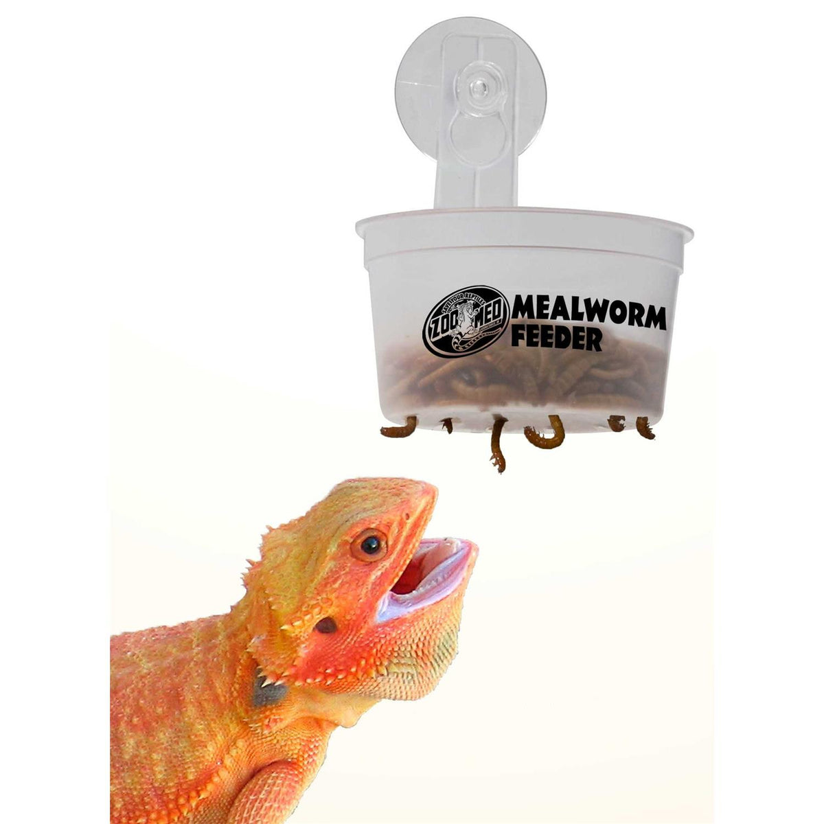 Hanging Mealworm Feeder D3552