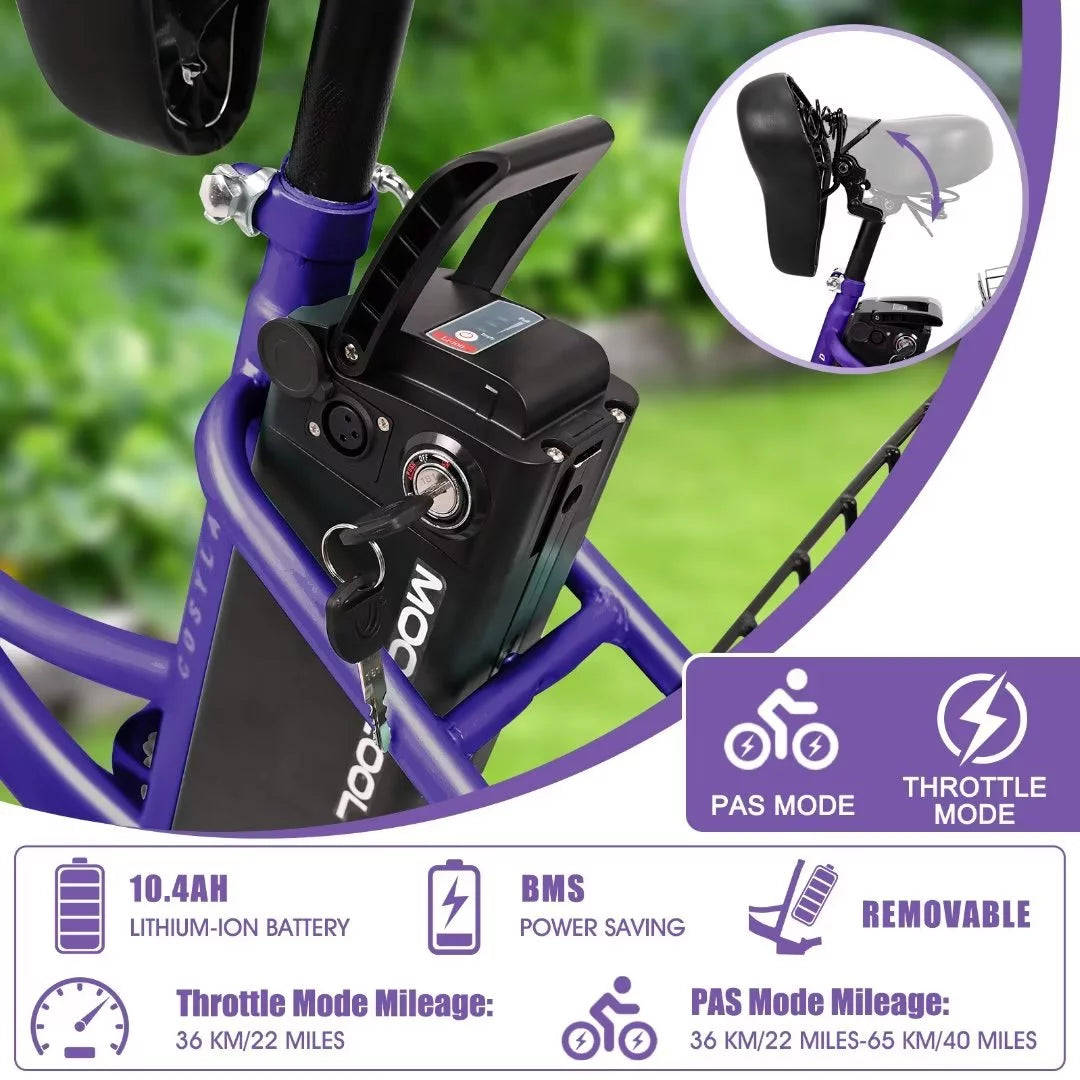 3 Wheel 500W Electric Trike C160511