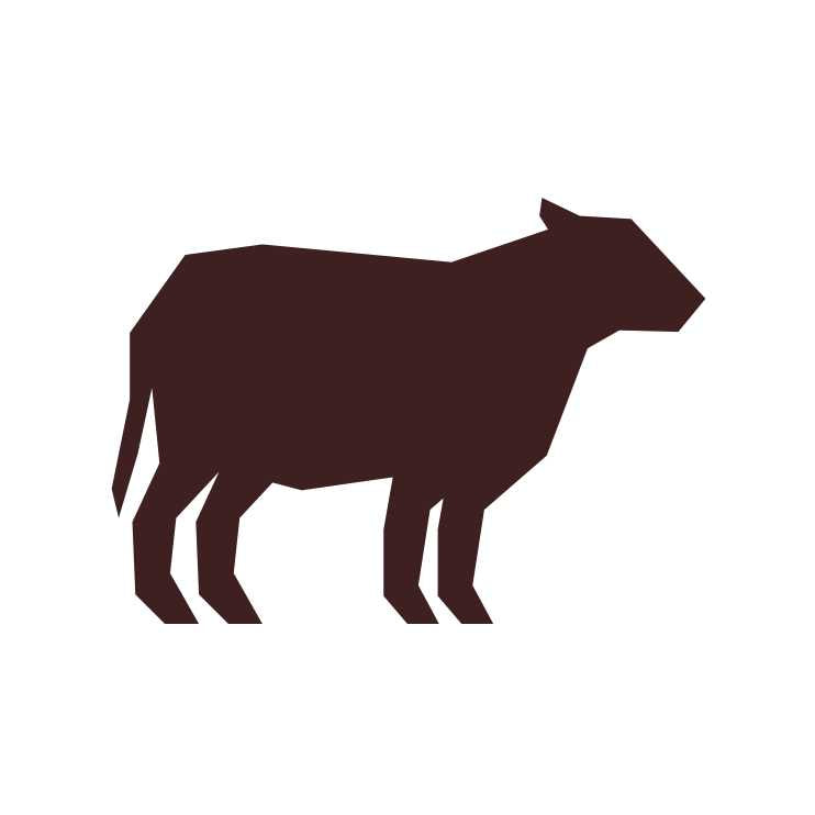 Freeze Dried Beef Dog Food O95212