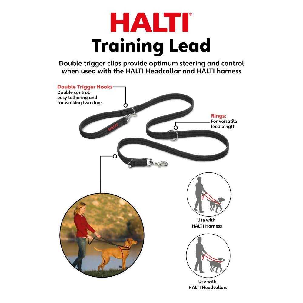 Training Lead T54668