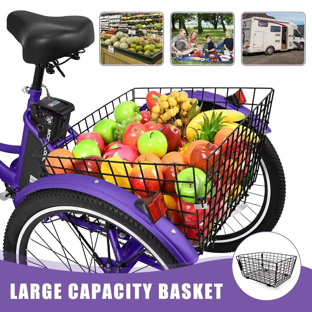 3 Wheel 500W Electric Trike C160511