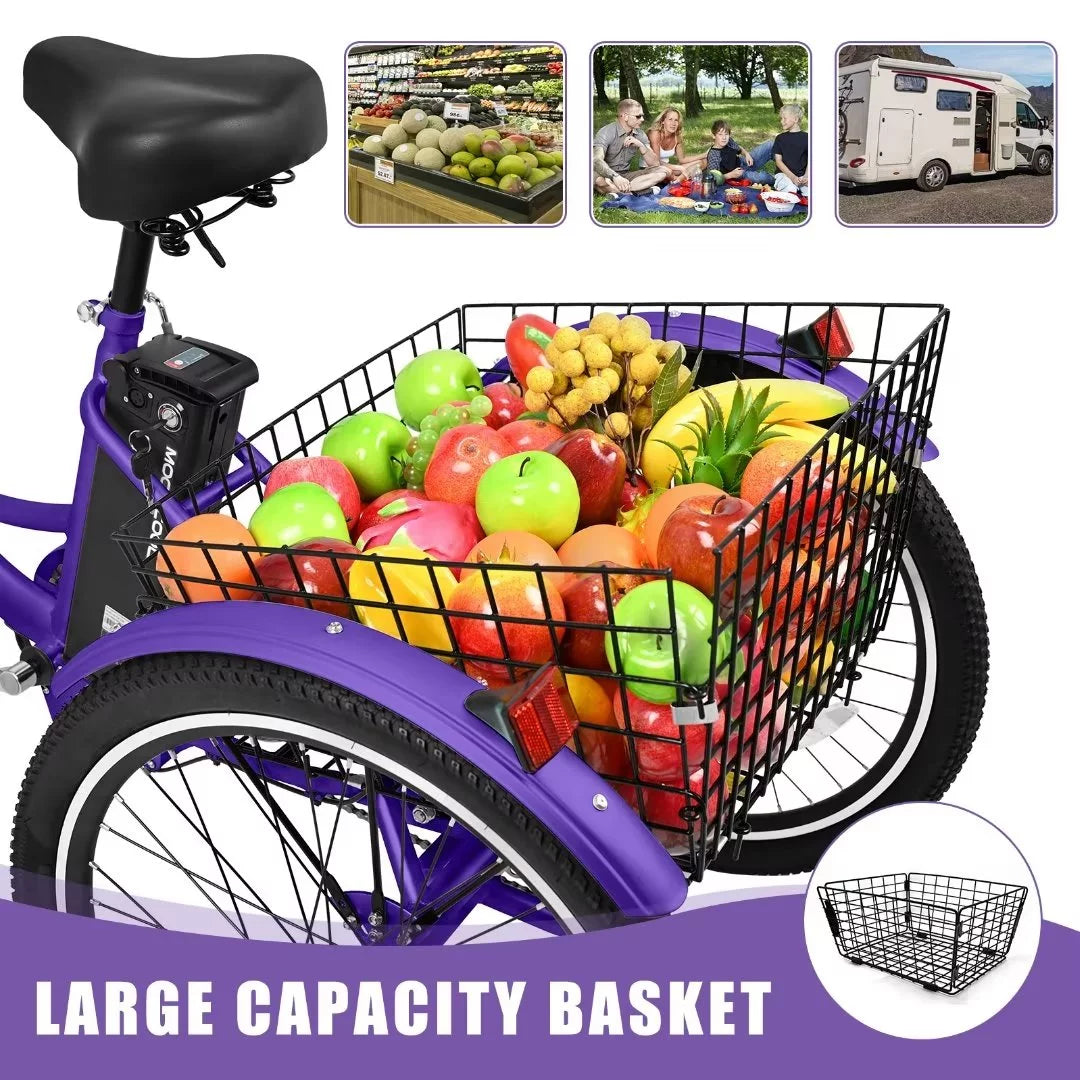 3 Wheel 500W Electric Trike C160511