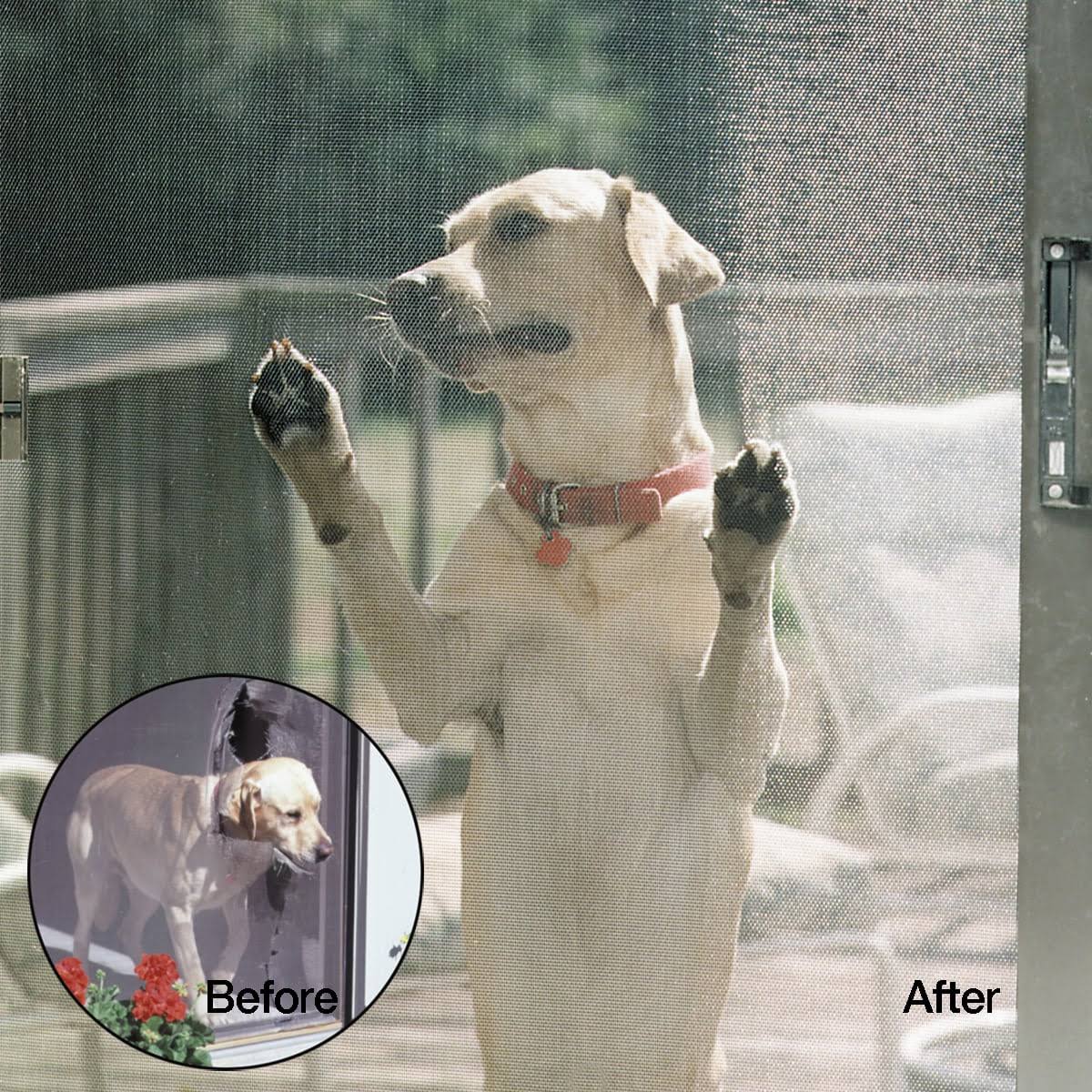 Gray Petscreen O769863