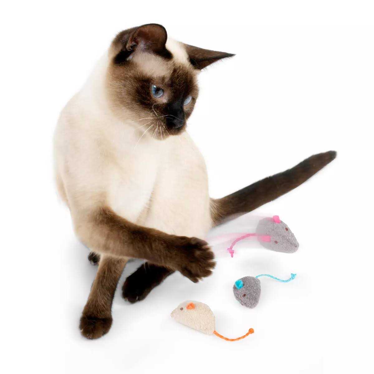 Catnip Toys L4428