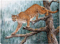 Canvas Art 32x24 P695