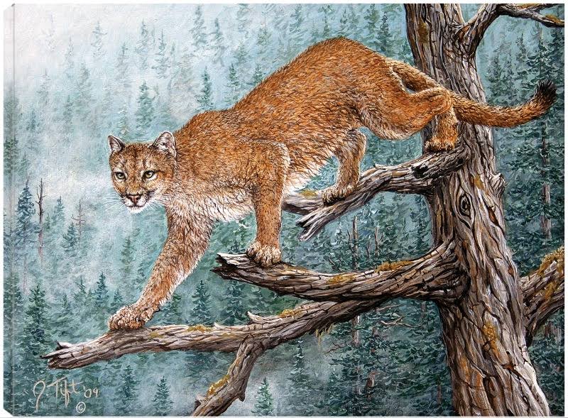 Canvas Art 32x24 P695