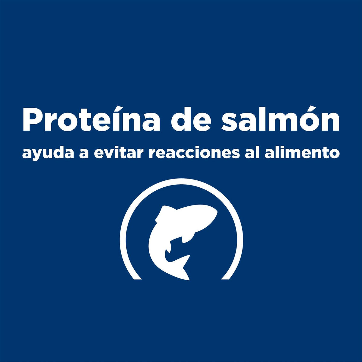 Potato & Salmon Recipe Dry Dog Food E41663