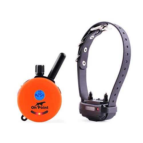 Remote Dog Training System Y523216