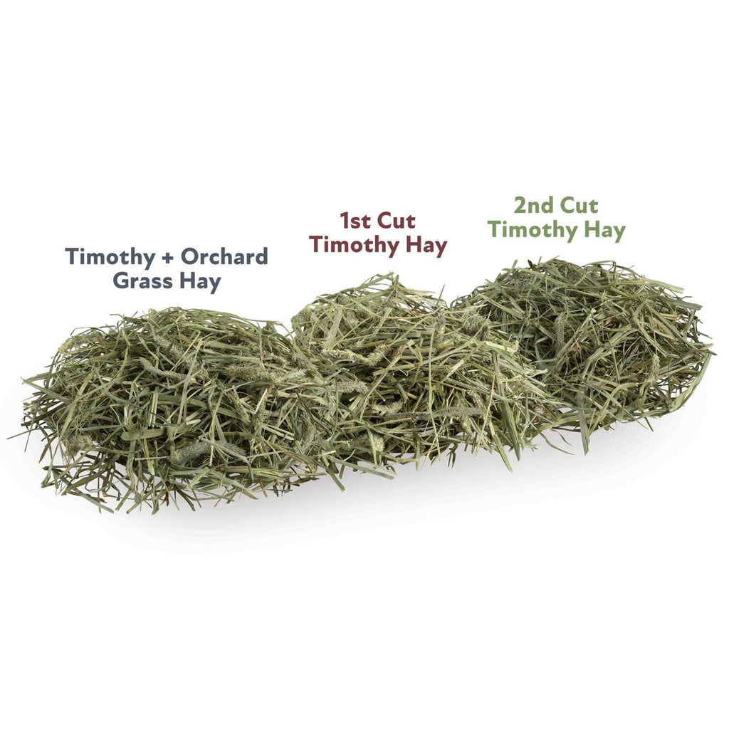 Timothy and Orchard Grass Hay Blend L21133