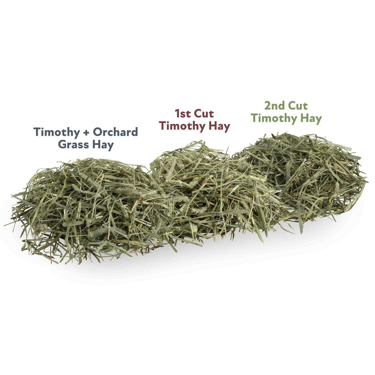 Timothy and Orchard Grass Hay Blend L21133