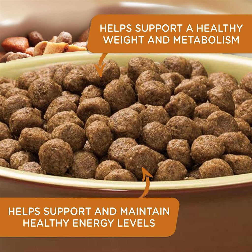 Turkey Brown Rice Dry Dog Food X97450