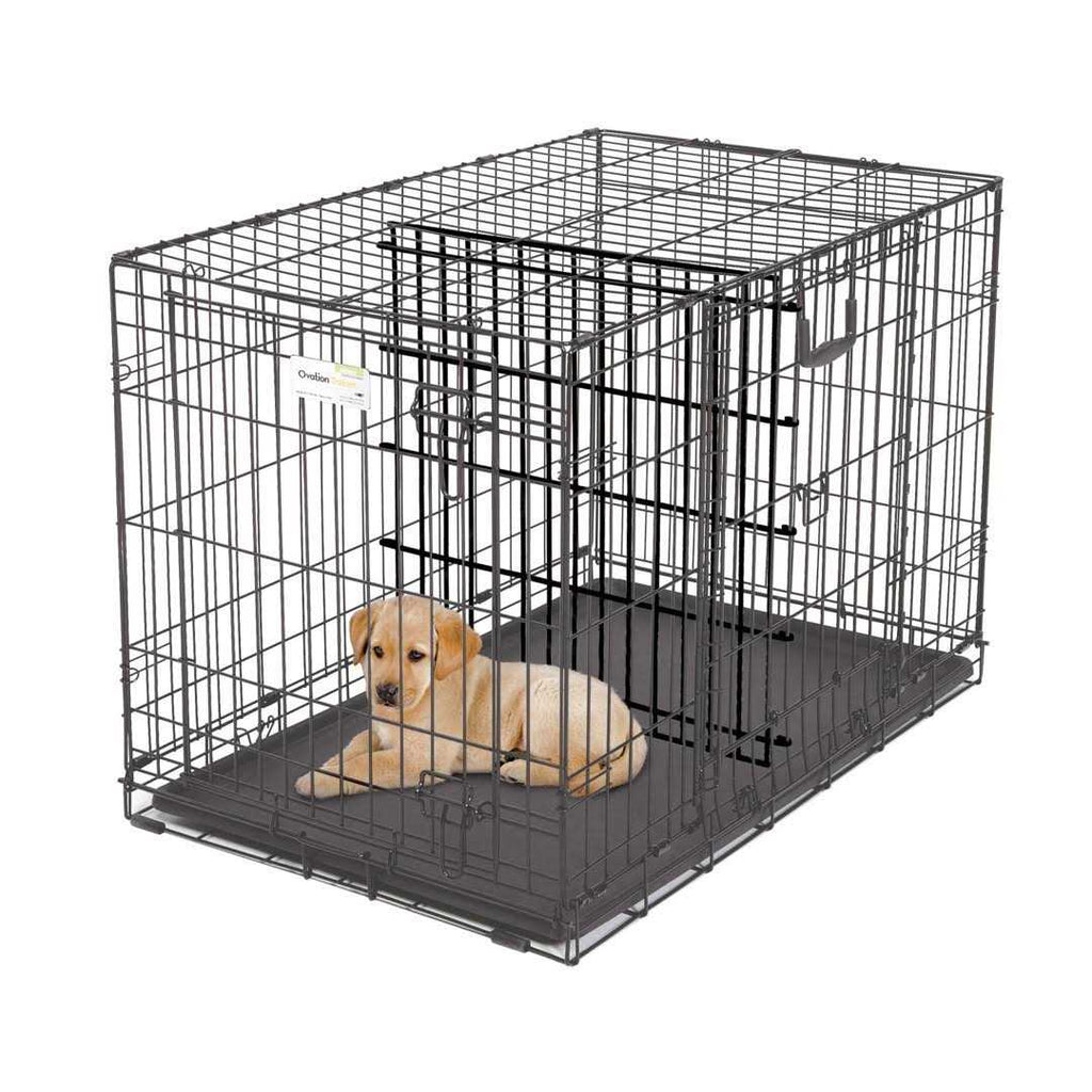 Double Door SUV Dog Crate A520866
